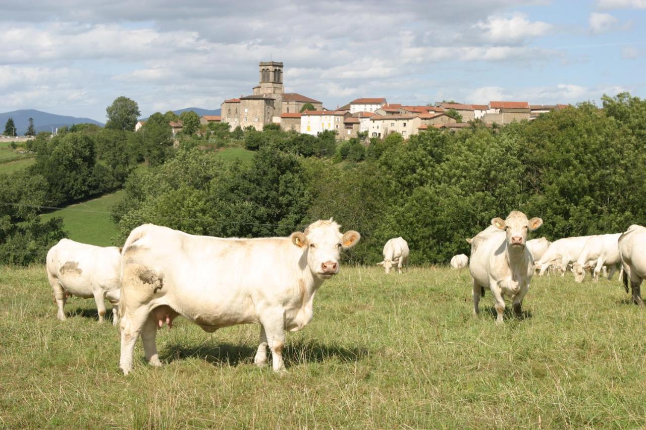 La Paresse En Douce Tours-Sur-Meymont Exterior foto